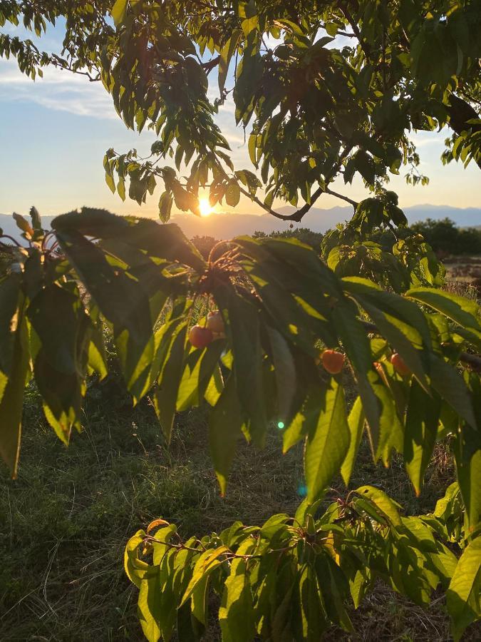 Nena Dashuri Agroturizem Peshkopi Exterior foto